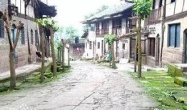 武胜新闻最新爆料,最新爆料事件深度解析